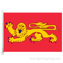 100% polyster 90*150CM Aquitaine banner Aquitaine flag